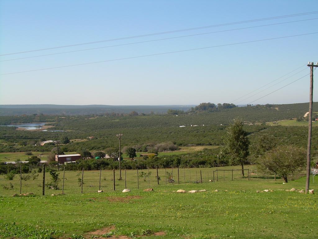 The Hexagon Wildlife Conservation Otel Uitenhage Dış mekan fotoğraf